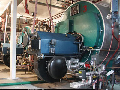 ʹ|(zh)偠tr(sh)ҪעĎׂ(g)ȼ(wn)}